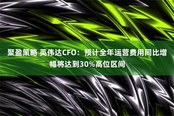 聚盈策略 英伟达CFO：预计全年运营费用同比增幅将达到30%高位区间