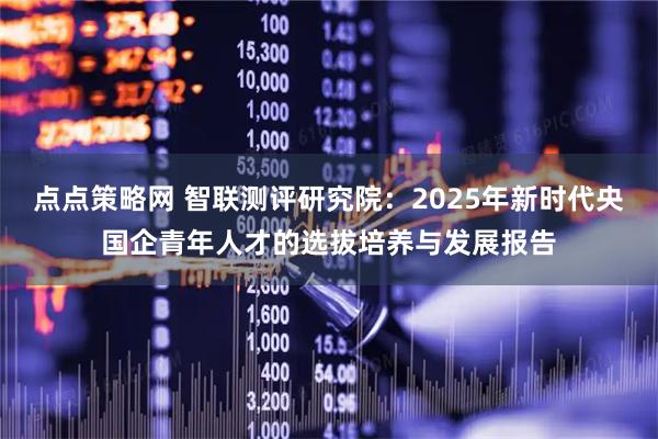 点点策略网 智联测评研究院：2025年新时代央国企青年人才的选拔培养与发展报告